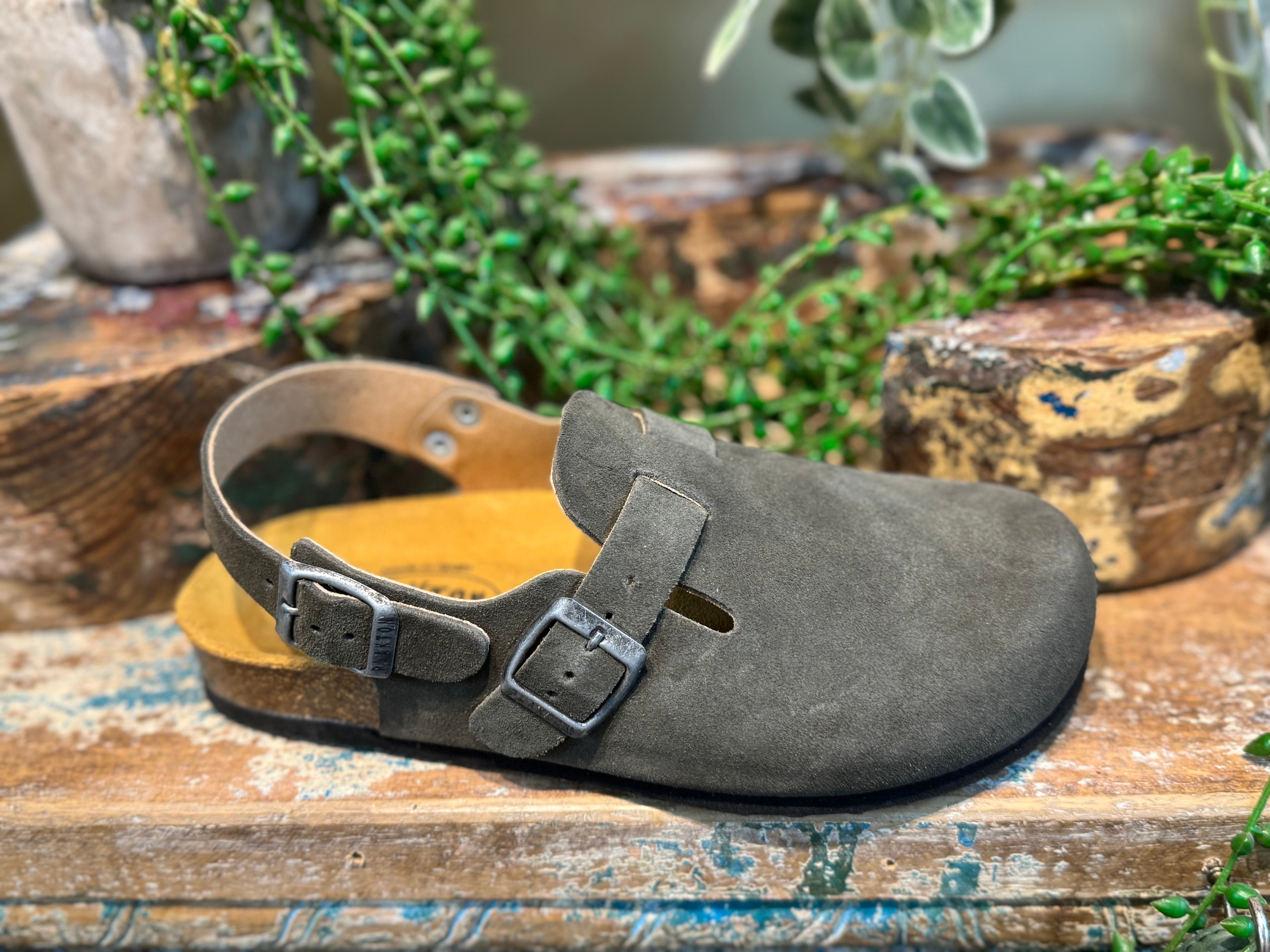 Plakton Clog WITH STRAP  - Castor