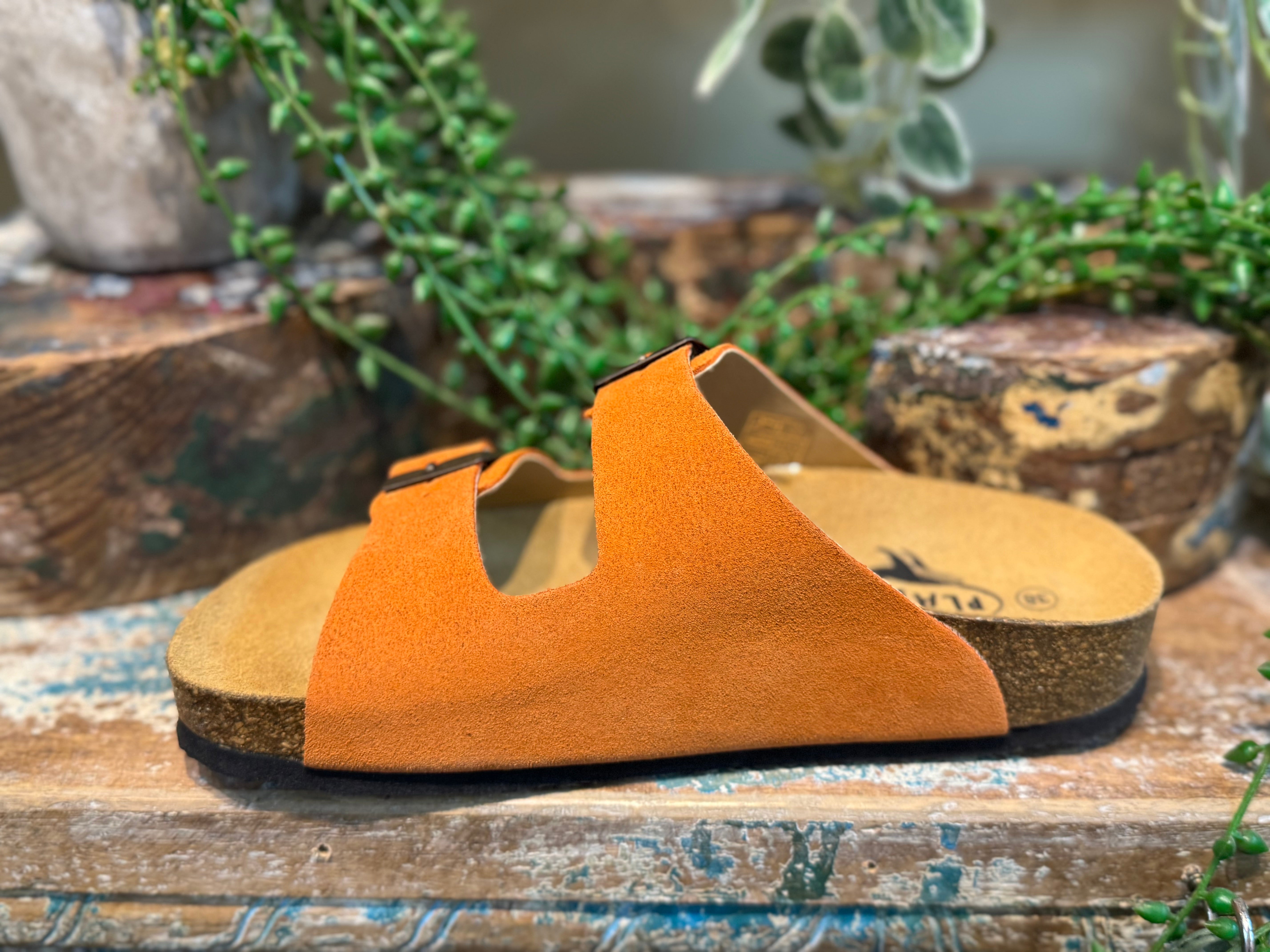 Plakton Malaga Mid - Orange