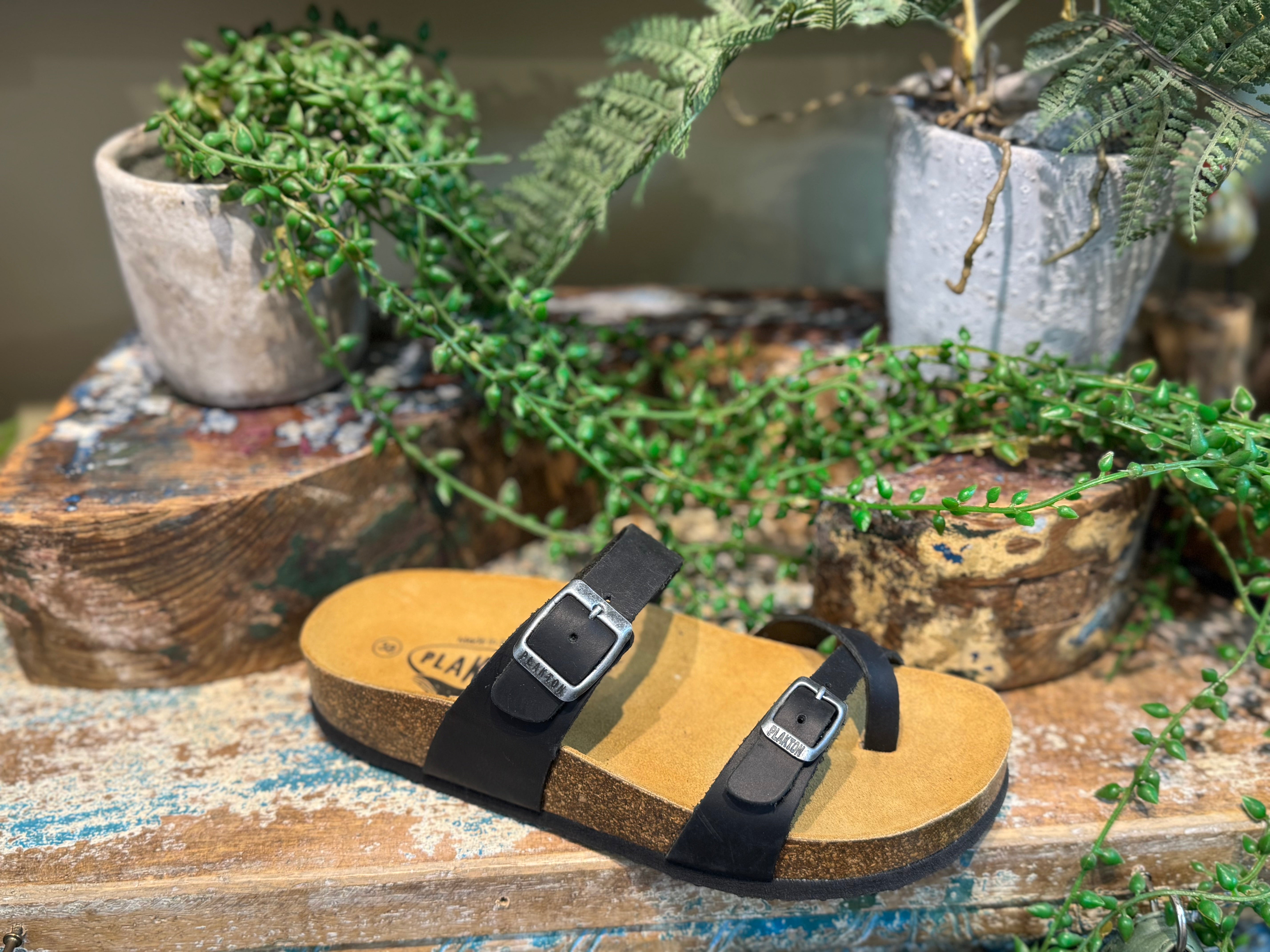 Plakton Savannah Mid - Black