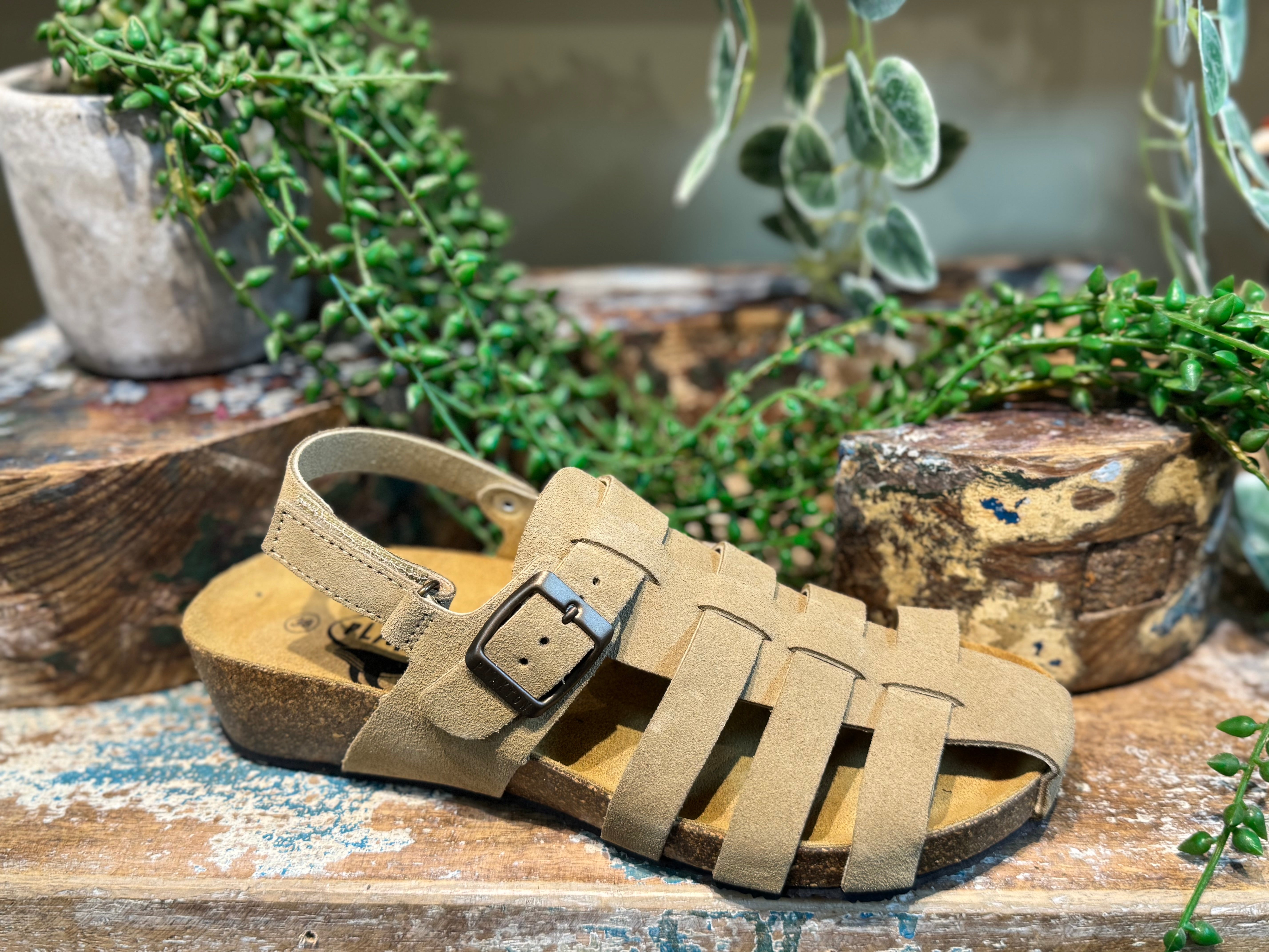 Plakton - Fisherman Shoe - Tan