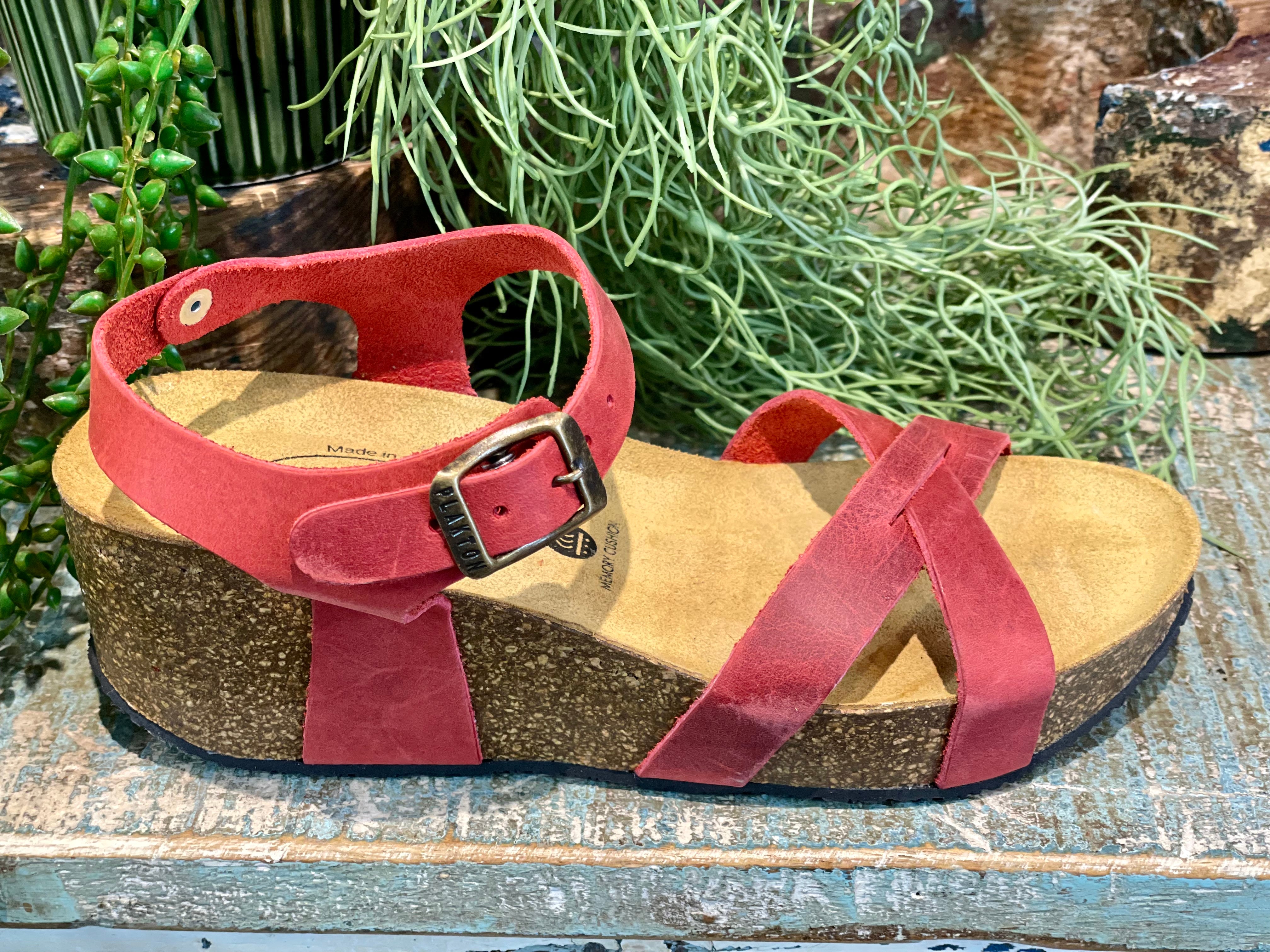 Plakton Sitges Hi Red