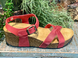 Plakton Sitges Hi Red