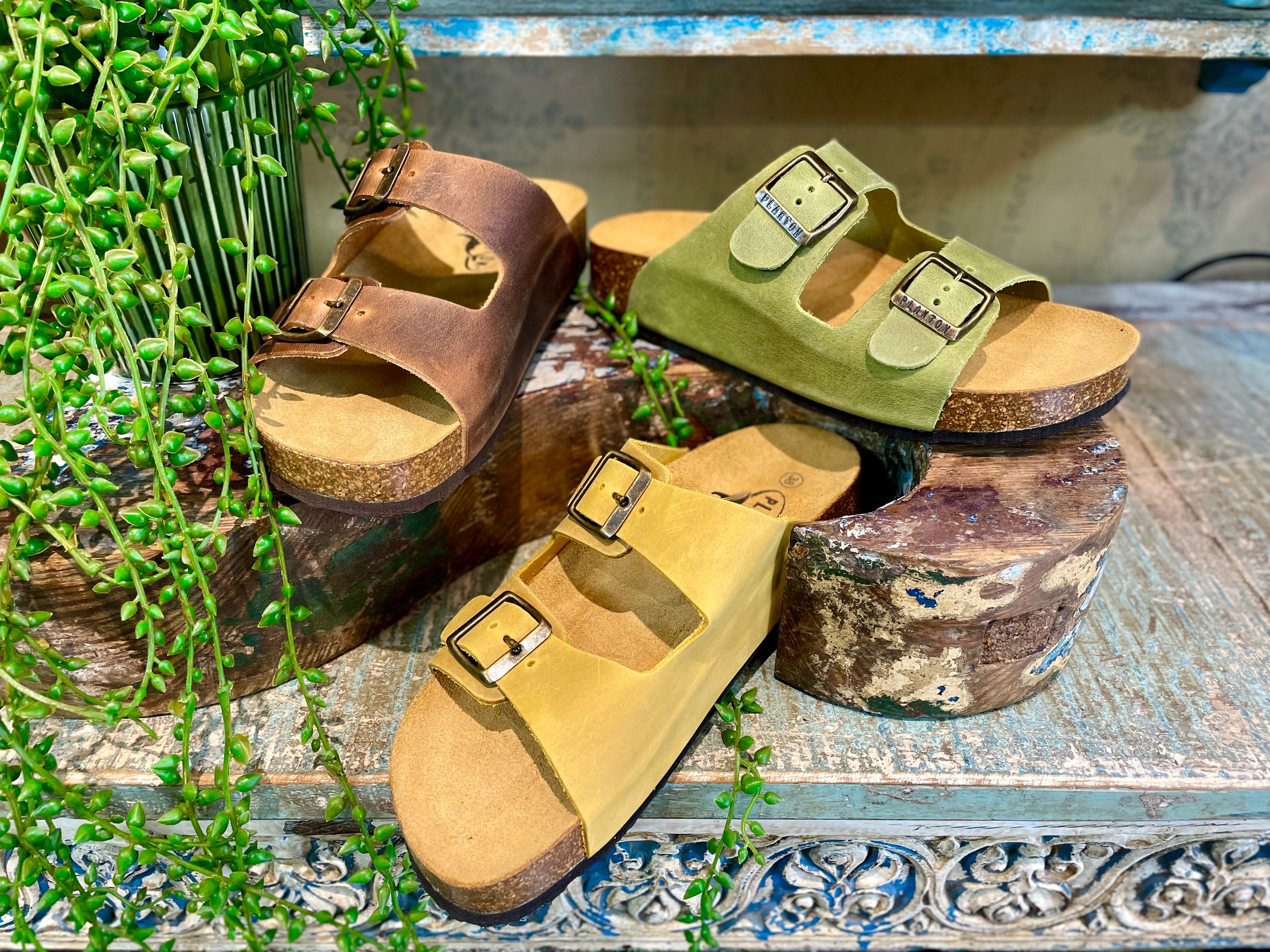 Plakton Malaga Mid Brown