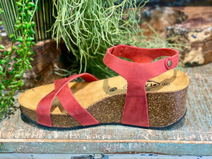 Plakton Sitges Hi Red