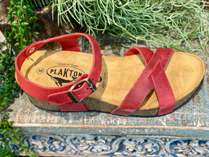 Plakton Sitges Hi Red