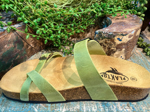 Plakton Savannah Mid Green