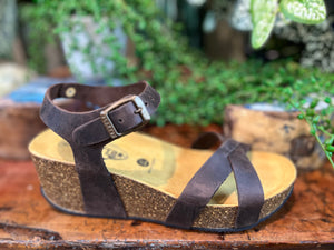 Plakton Sitges Hi Marron
