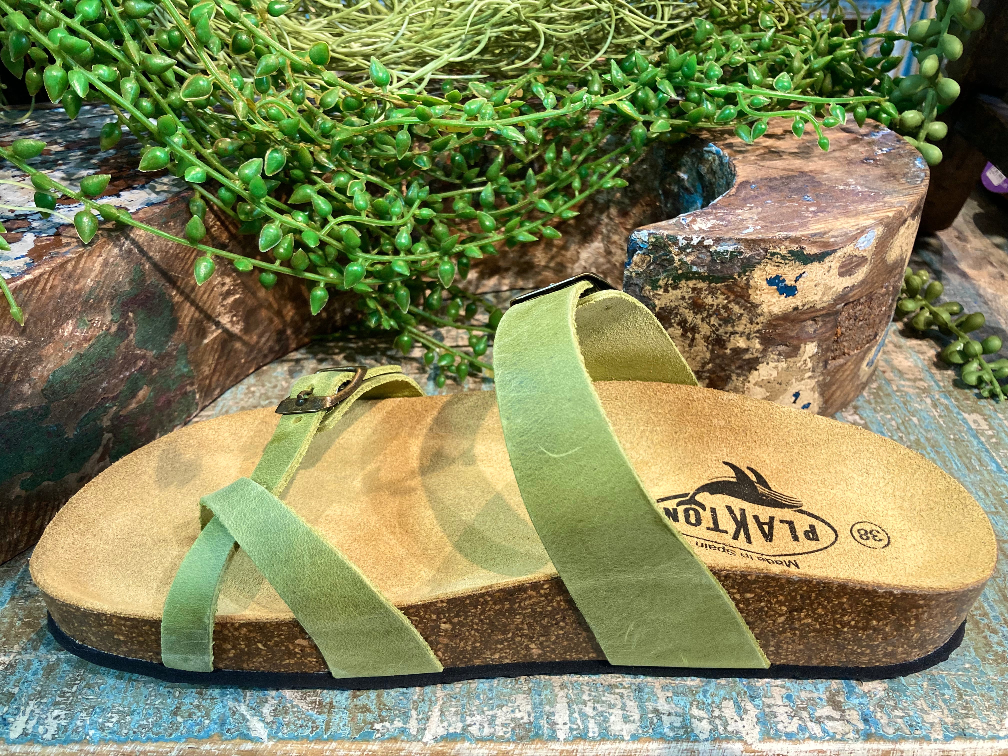 Plakton Savannah Mid Green