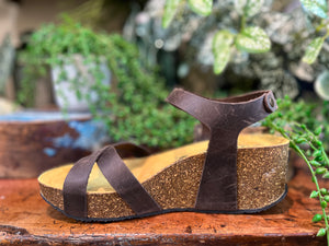 Plakton Sitges Hi Marron